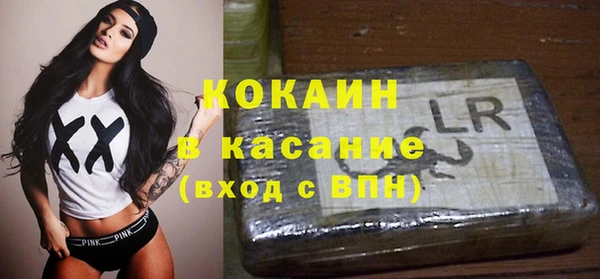 бошки Алексин