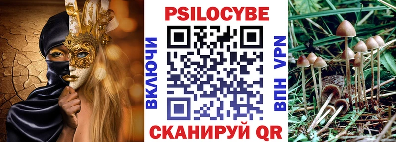 купить наркотик  Липки  OMG ТОР  Псилоцибиновые грибы MAGIC MUSHROOMS 